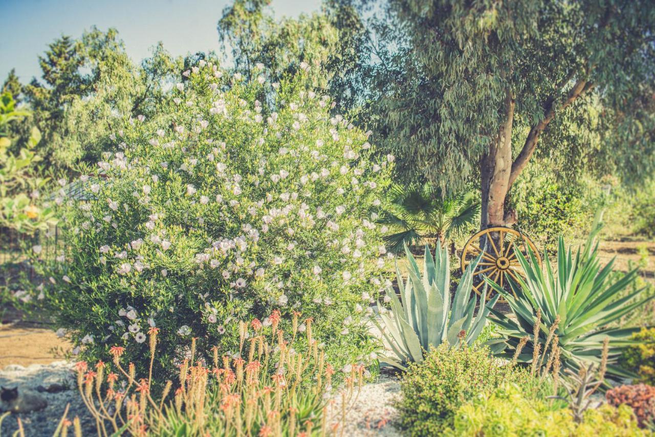 Finca El Limonar Alora Εξωτερικό φωτογραφία