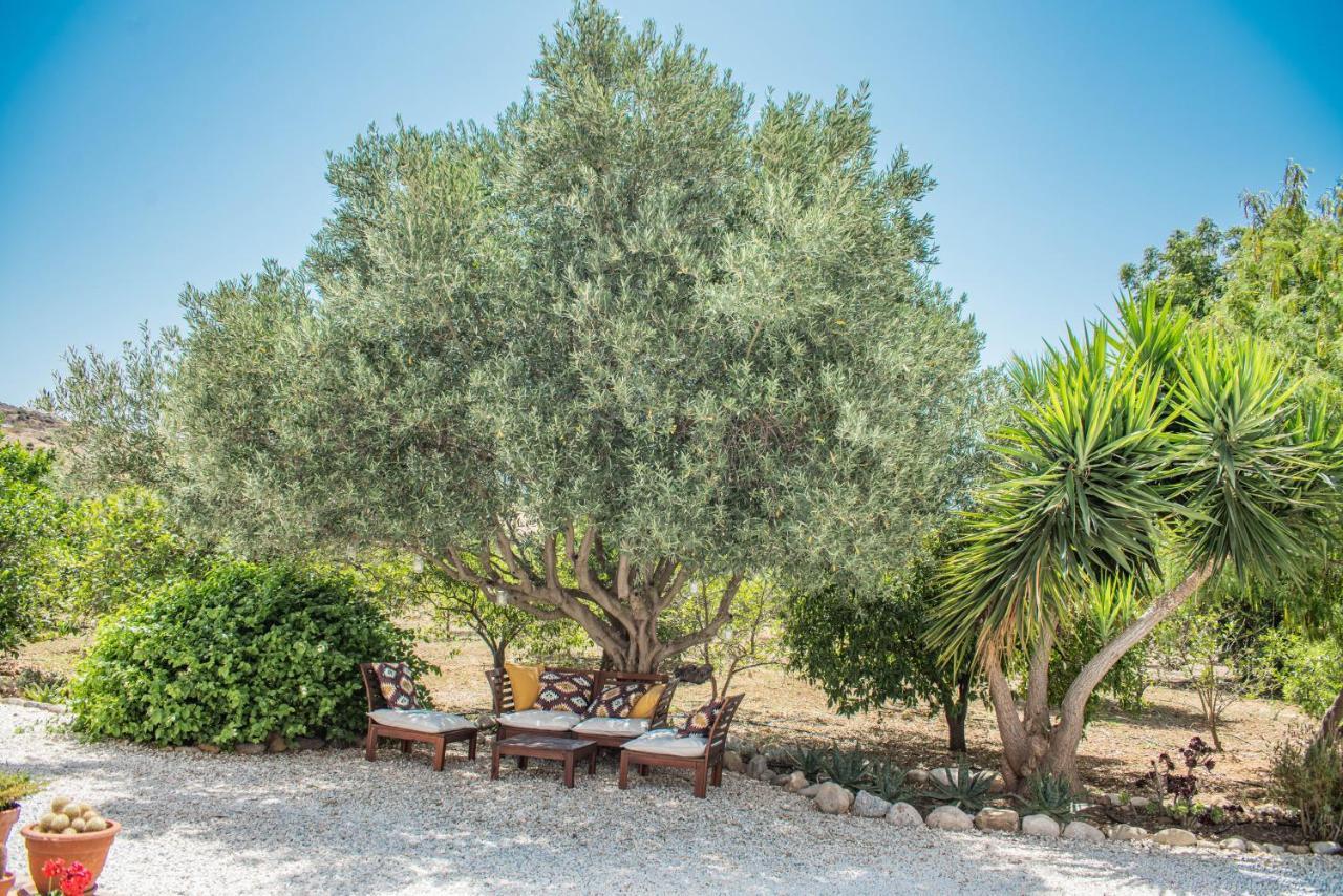Finca El Limonar Alora Εξωτερικό φωτογραφία