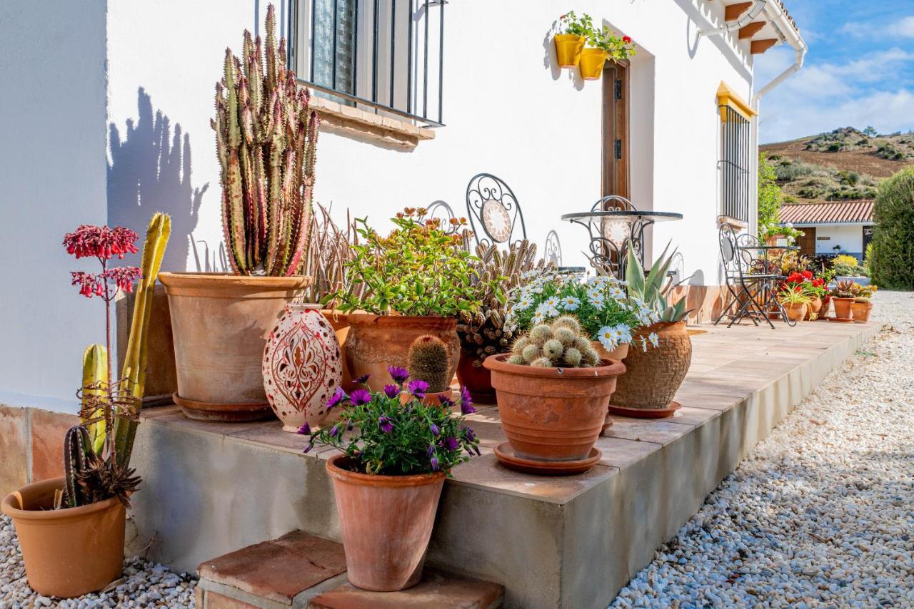 Finca El Limonar Alora Εξωτερικό φωτογραφία