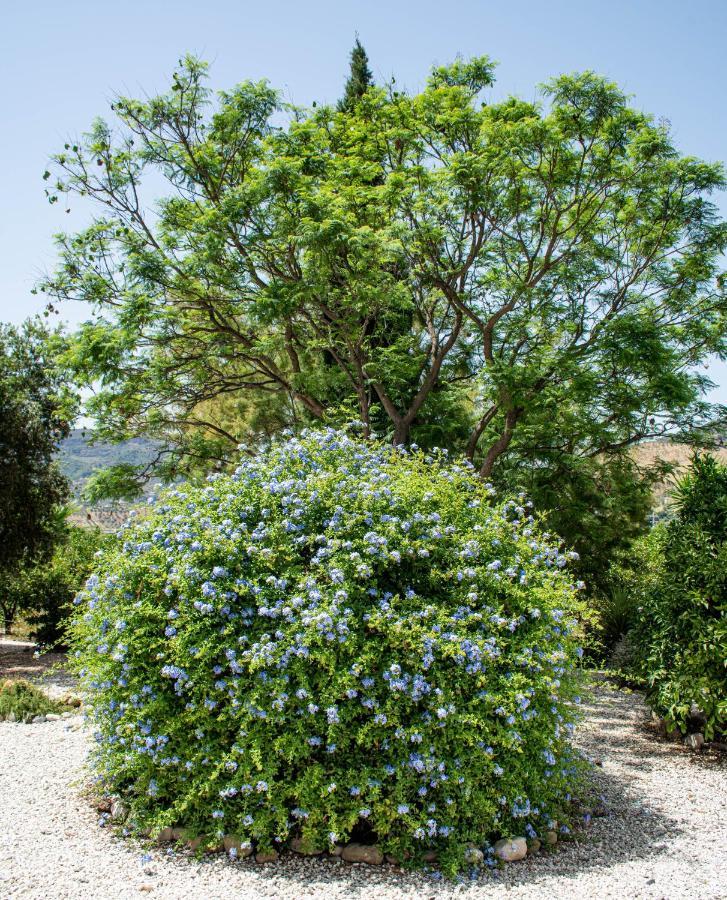 Finca El Limonar Alora Εξωτερικό φωτογραφία