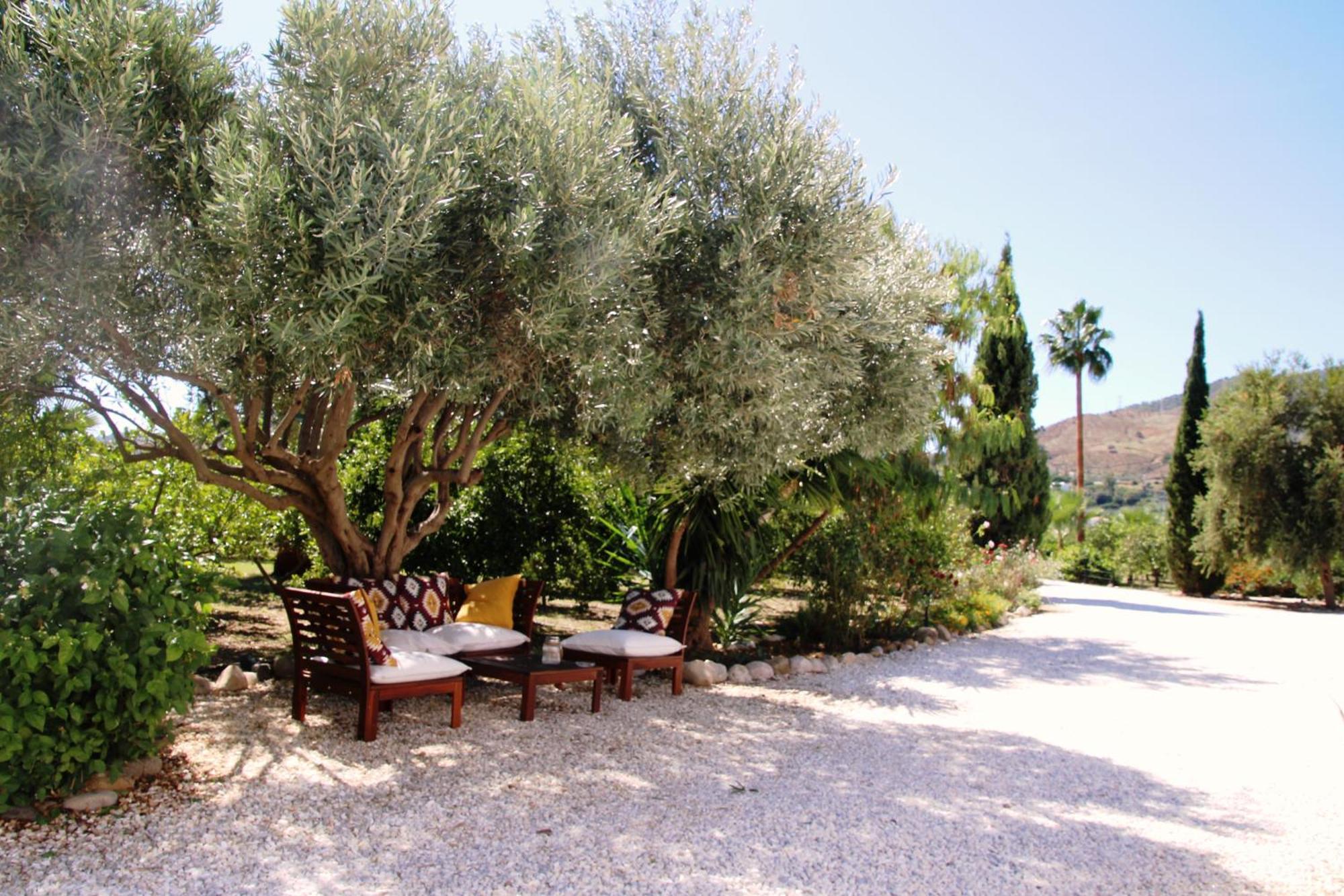 Finca El Limonar Alora Εξωτερικό φωτογραφία